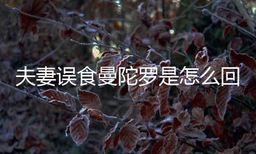 误食怎么到底毒回事还是陀罗曼陀曼夫妻罗是是药