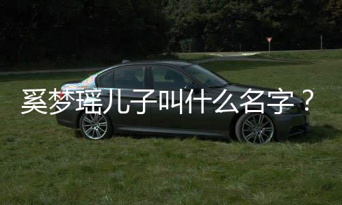 瑶儿子叫子几君儿何猷奚梦奚名字梦瑶什么岁了