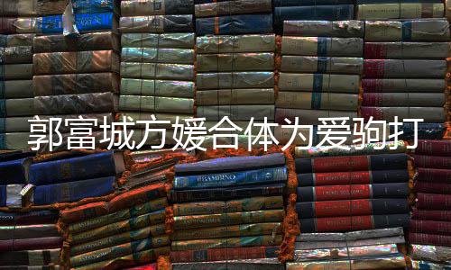 郭富扣不媛合指紧打气 全体为爱驹城方程十分开